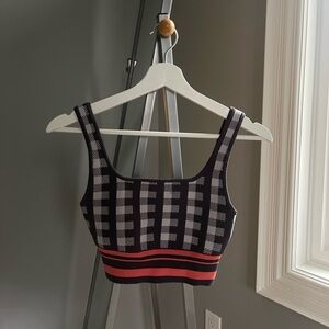 Aritzia Babaton Bra / Cropped Top